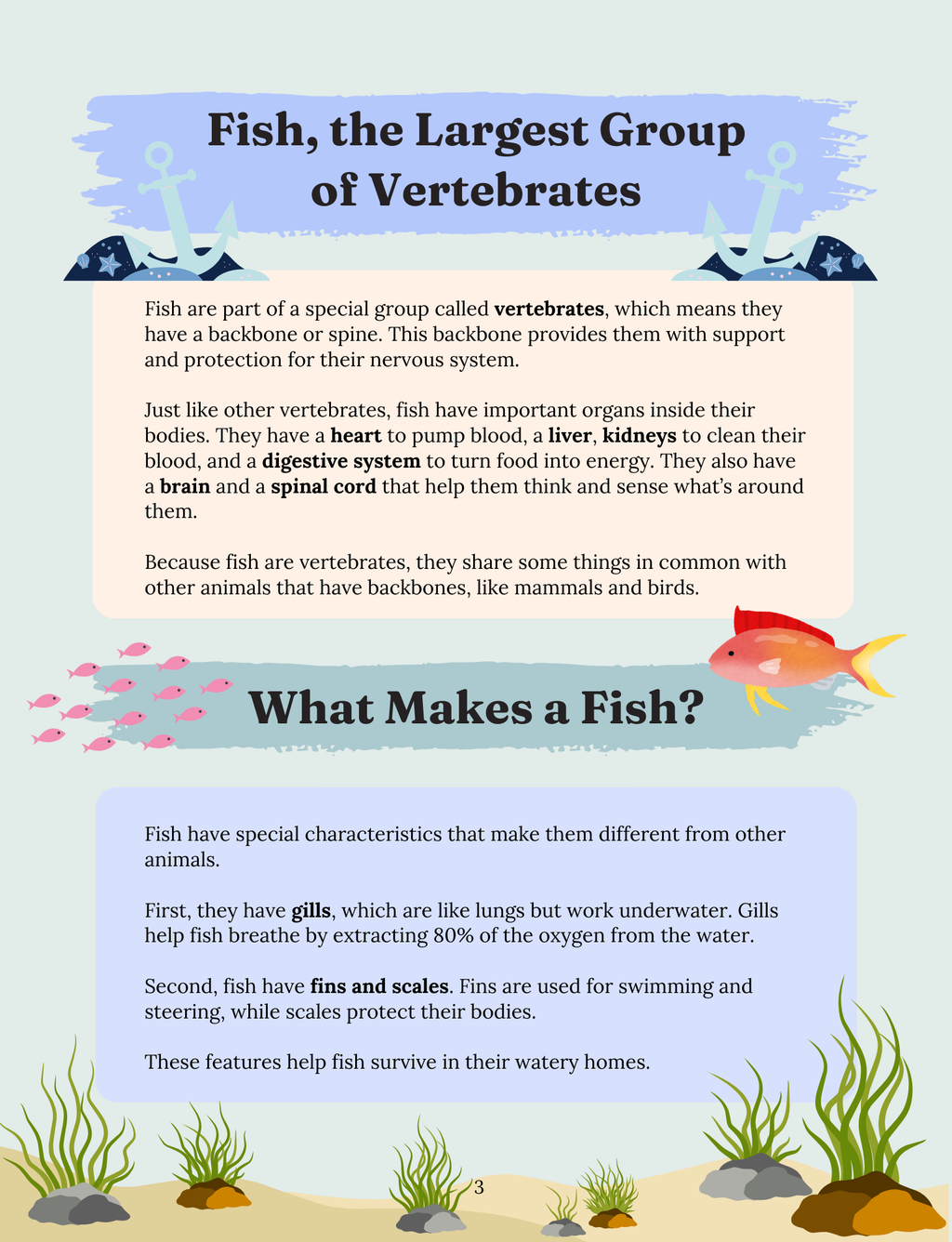 Fascinating Fish: The Aquatic Wonders