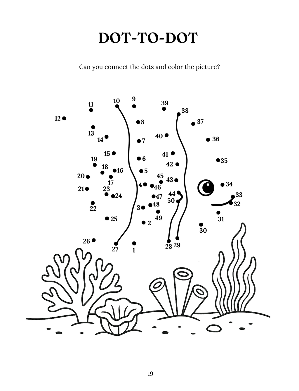 Fascinating Fish: The Aquatic Wonders