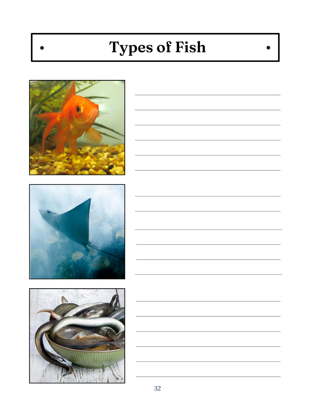 Fascinating Fish: The Aquatic Wonders